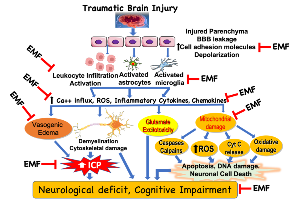 Neurodeficit cognitive improvement.